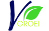 Voorsprong
